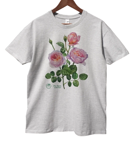 Rose 'Queen of Sweden'  — classic t-shirt