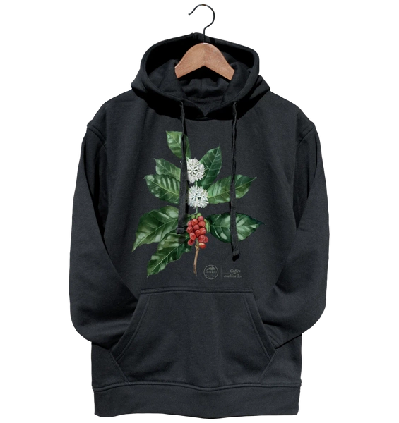 Coffea arabica — hoodie