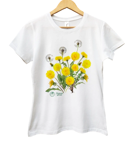 Dandelion — women's t-shirt
