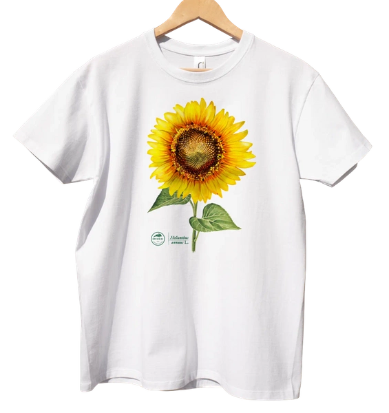 Common sunflower — classic t-shirt