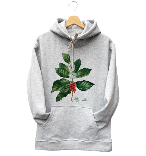 Coffea arabica — hoodie