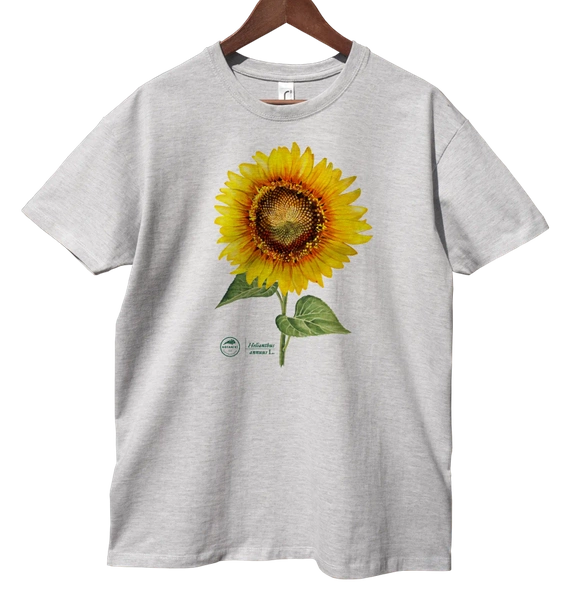 Common sunflower — classic t-shirt