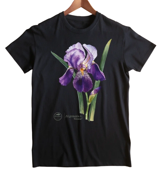 Iris 'Alcazar' — classic t-shirt