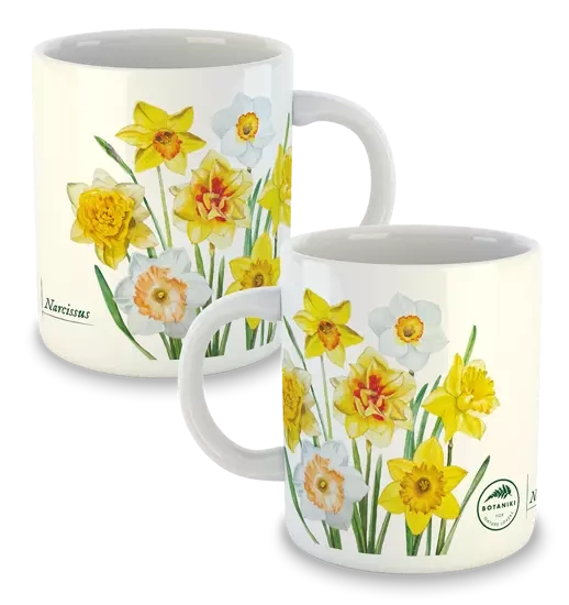 Daffodils — classic mug