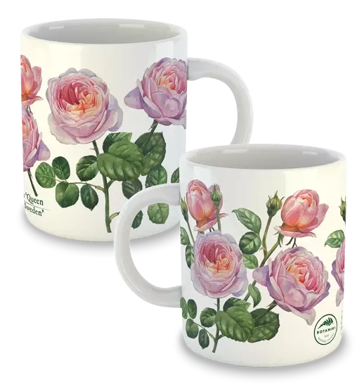 'Queen of Sweden' rose — classic mug