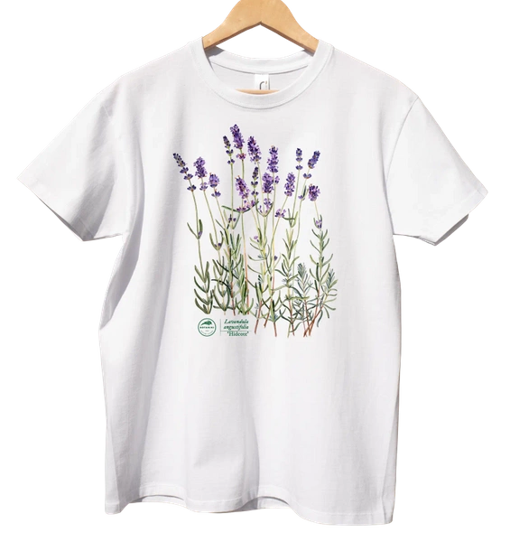 Lavender 'Hidcote' — classic t-shirt