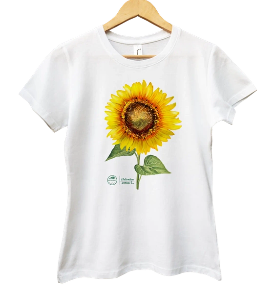 Common sunflower — women's t-shirt