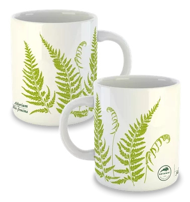 Lady fern — classic mug