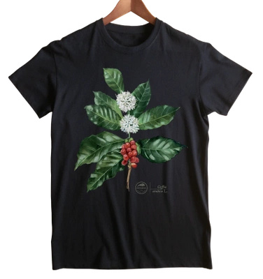 Coffea arabica — t-shirt classic