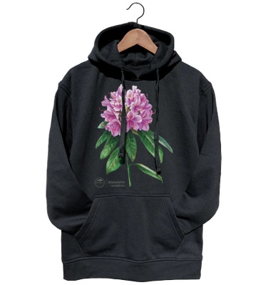 Catawba rosebay — hoodie