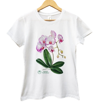 Orchid phalaenopsis — women's t-shirt