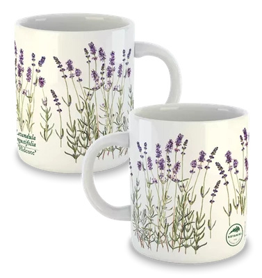 Lavender 'Hidcote' — classic mug