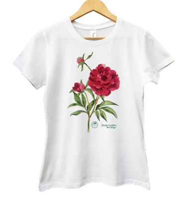 Chinese peony 'Red Magic' — women's t-shirt