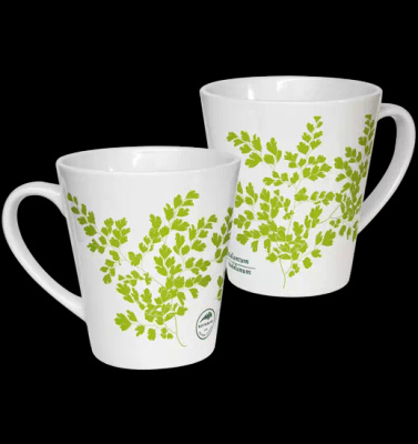 Maidenhair fern — latte mug