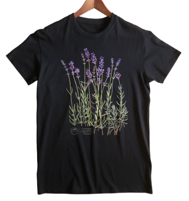 Lavender 'Hidcote' — classic t-shirt