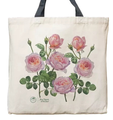 'Queen of Sweden' rose — premium cotton bag