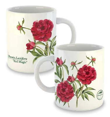 Chinese peony 'Red Magic' — classic mug