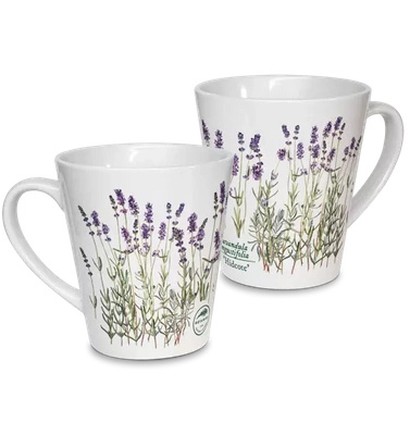 Lavender 'Hidcote' — latte mug