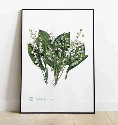 Lily of the valley — plant motif poster