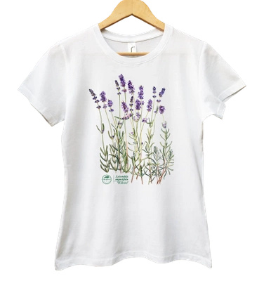 Lavender 'Hidcote' — women's t-shirt