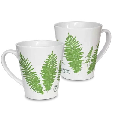 Male fern — latte mug