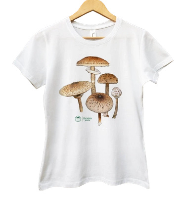 Parasol mushroom — women's t-shirt