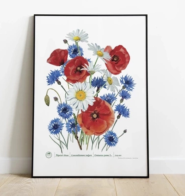 Wildflowers — plant motif poster