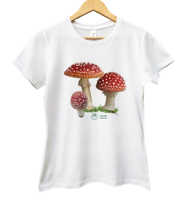 Fly agaric — women's t-shirt