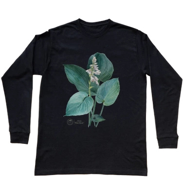 Hosta 'Blue Rock' — long sleeve t-shirt