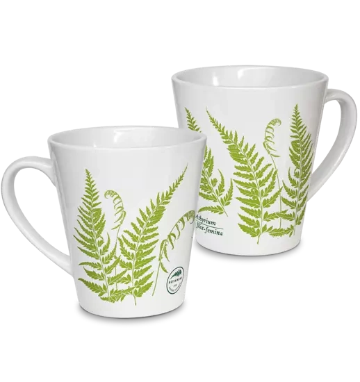 Lady fern — latte mug