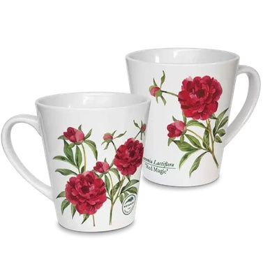 Chinese peony 'Red Magic' — latte mug