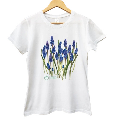 Armenian grape hyacinth — women's t-shirt