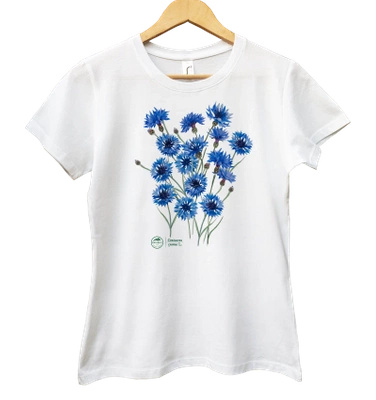 Cornflowers — women's t-shirt