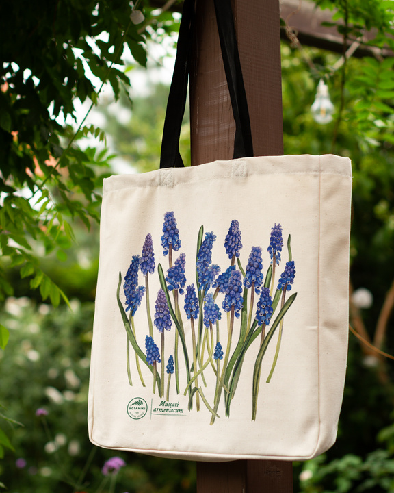 Armenian grape hyacinth — premium cotton bag