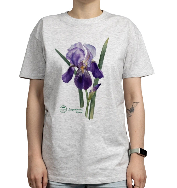 Iris 'Alcazar' — classic t-shirt