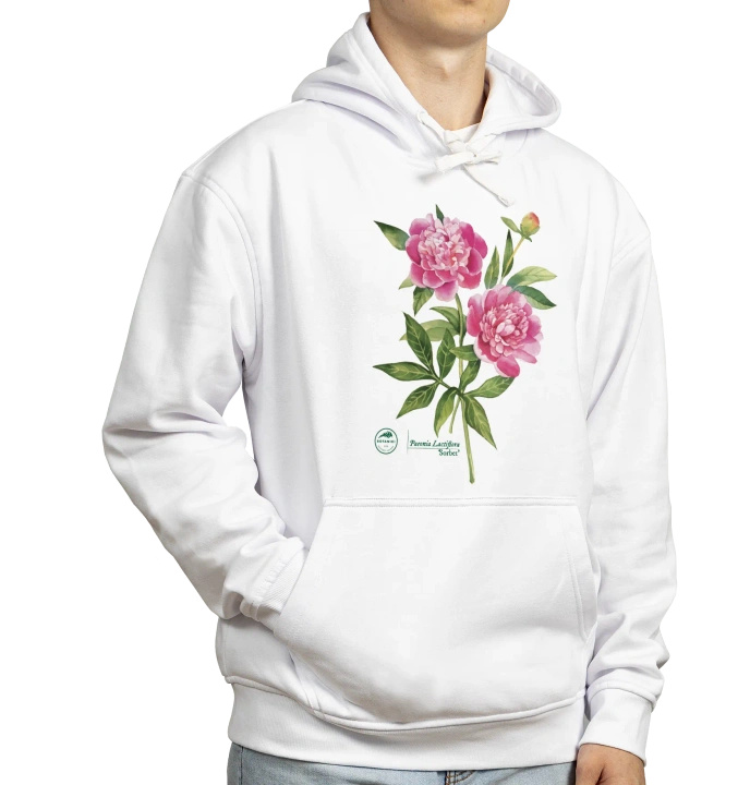 Chinese peony 'Sorbet' — hoodie