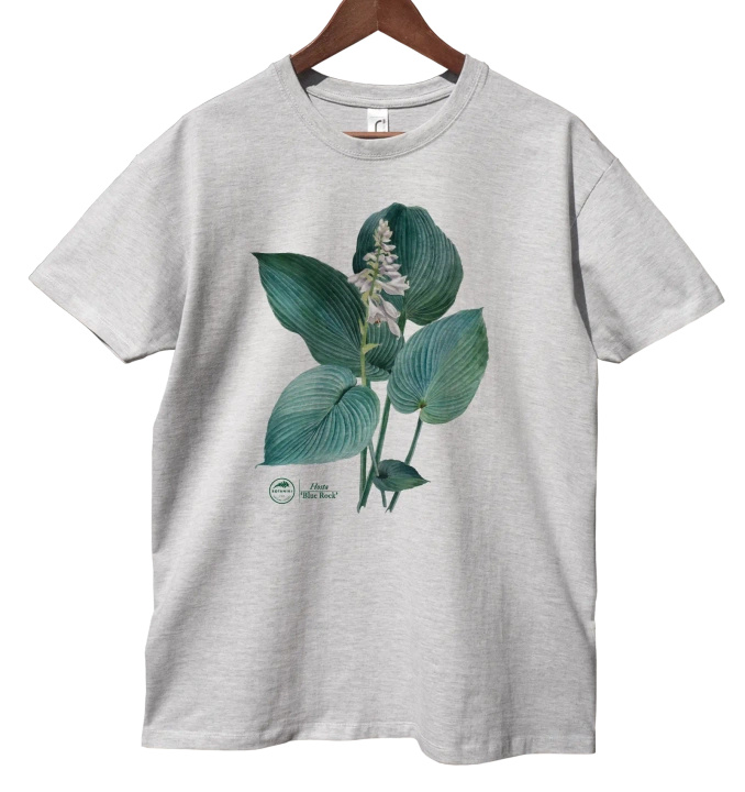 Hosta 'Blue Rock' — classic t-shirt