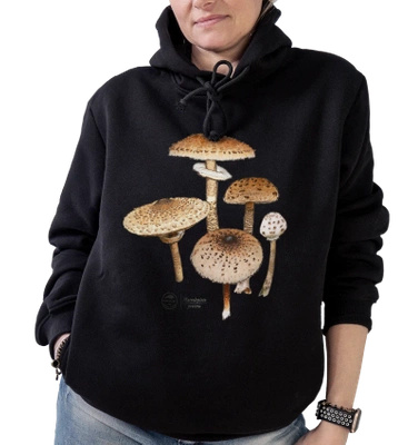 Parasol mushroom — premium hoodie