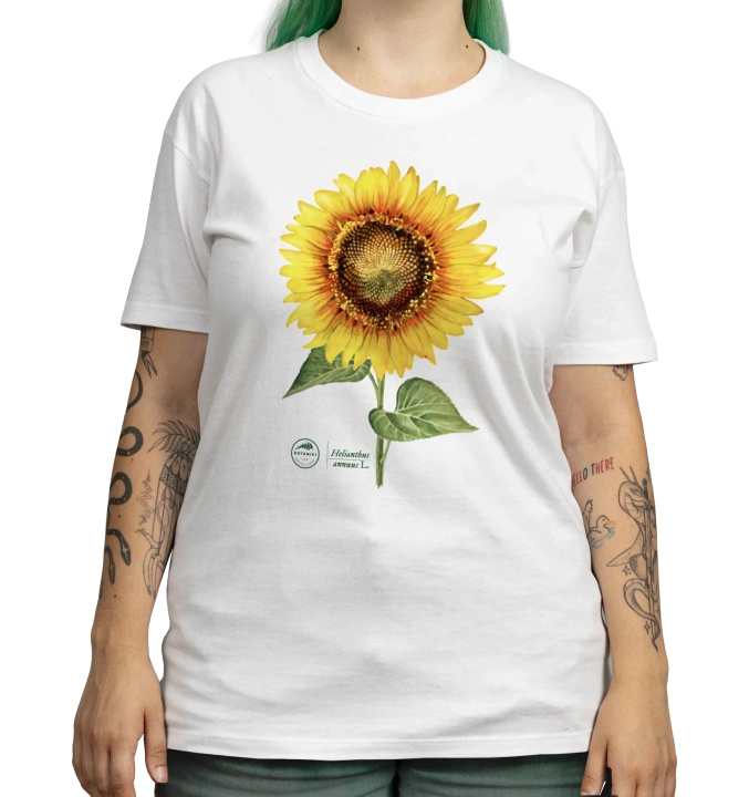 Common sunflower — classic t-shirt