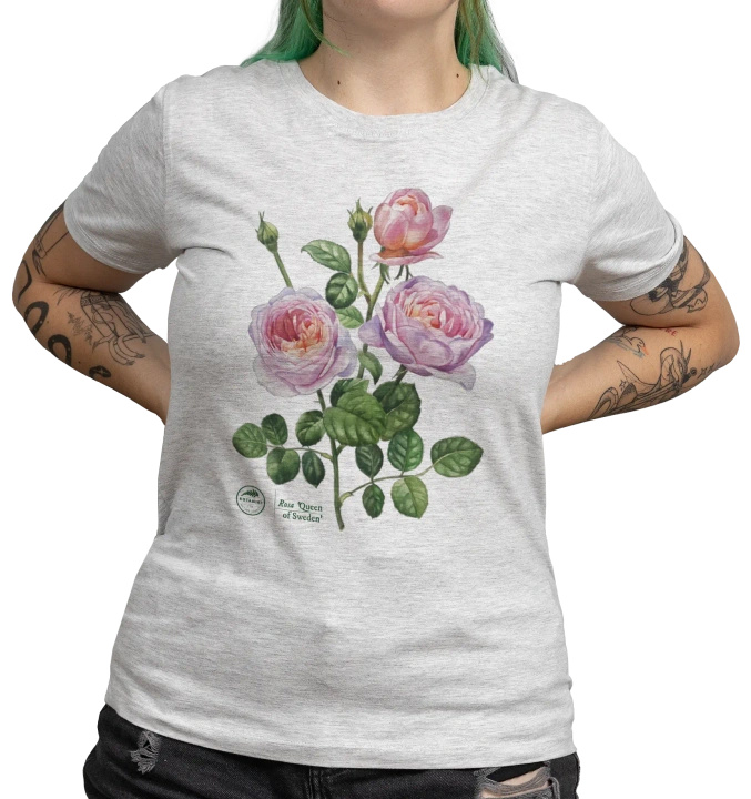 Rose 'Queen of Sweden' — women's t-shirt