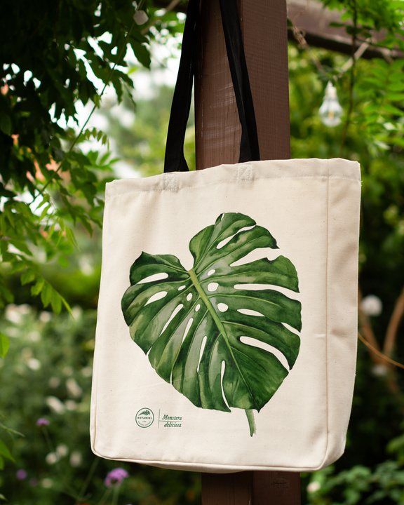 Swiss cheese plant — premium cotton bag