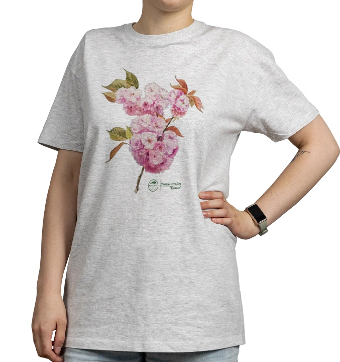 Cherry blossom 'Kanzan' — classic unisex t-shirt
