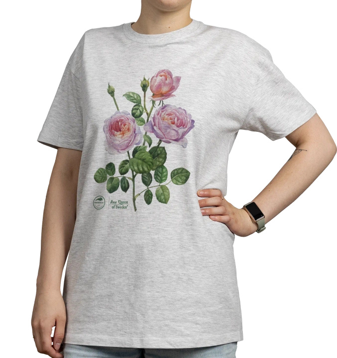 Rose 'Queen of Sweden' — classic t-shirt