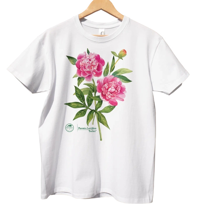 Chinese peony 'Sorbet' — classic t-shirt
