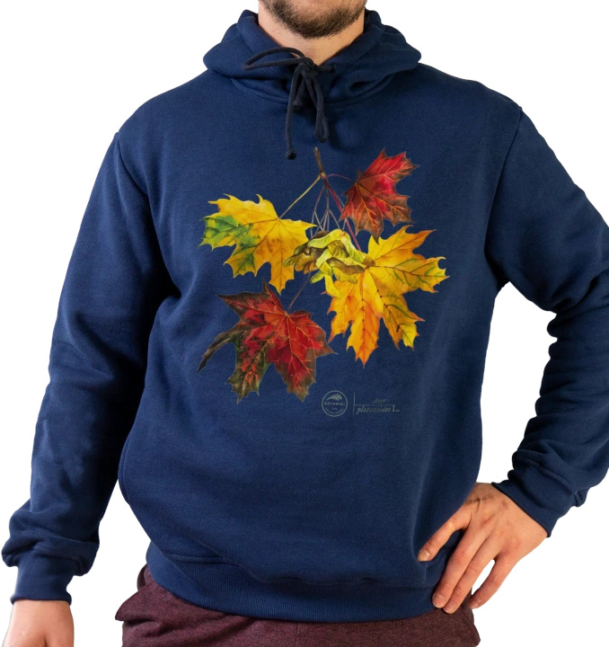 Norway maple — premium hoodie