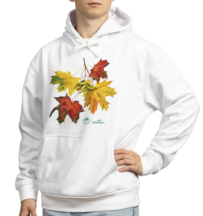 Norway maple — hoodie