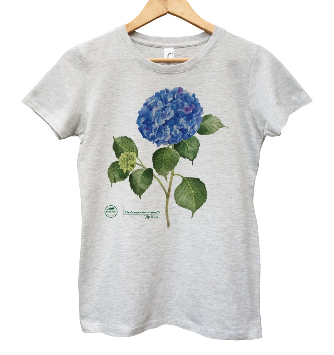 Hydrangea 'Jip Blue' — women's t-shirt