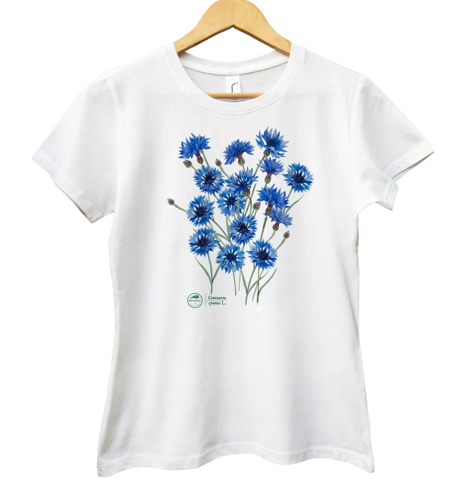 Cornflowers — women's t-shirt