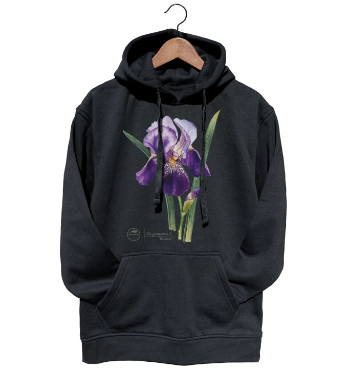 Bearded iris 'Alcazar' — hoodie