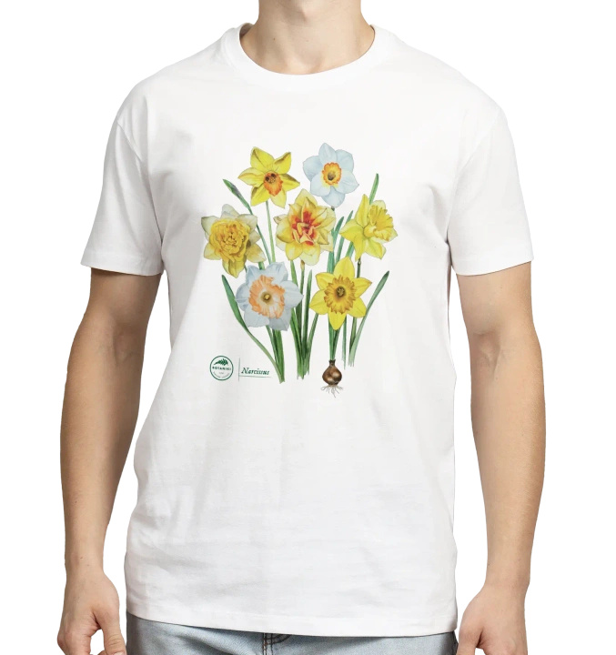 Daffodils — classic t-shirt